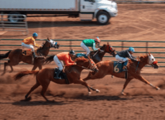 5 horses racing