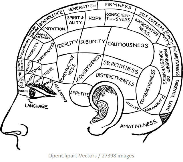 Parts of the brain: psychology