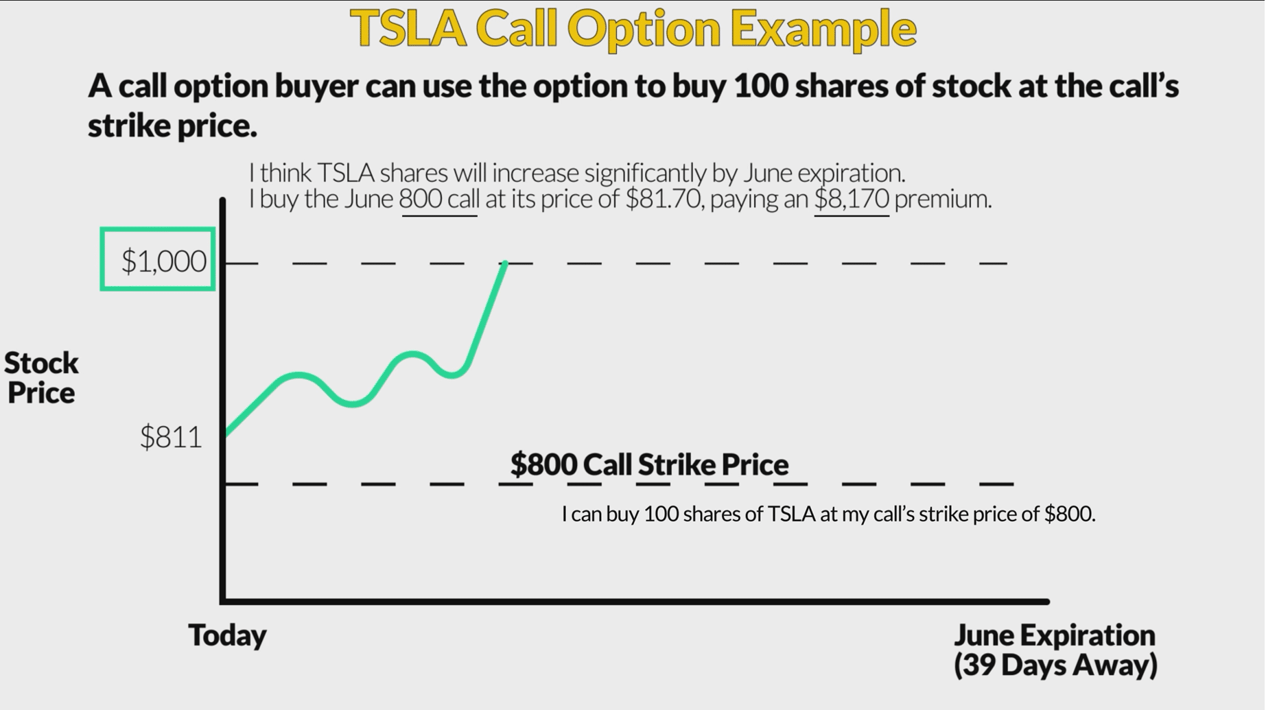 TSLA CALL multiplier