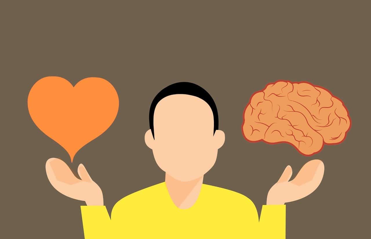 brain vs heart