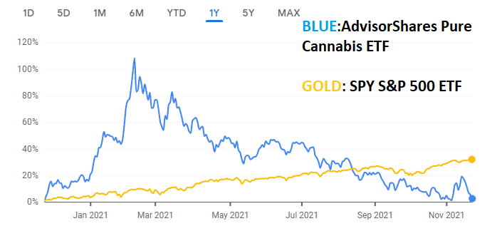 SPX vs YOLO