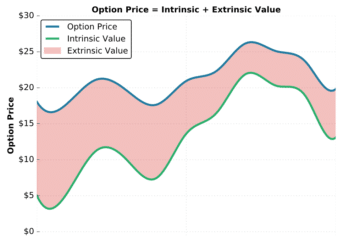 intrinsic and extrinsic value