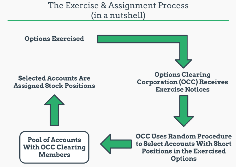Exercise assign process