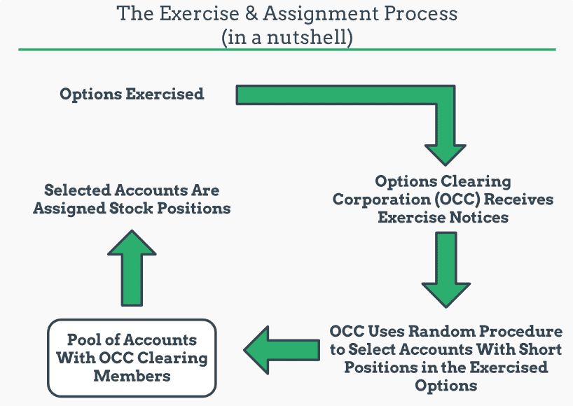 option assignment time