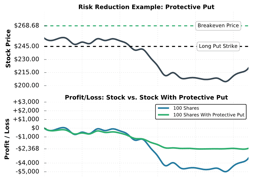 Put Risk Reduction