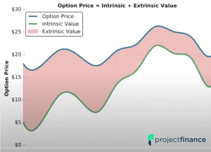 intrinsic vs extrinsic value