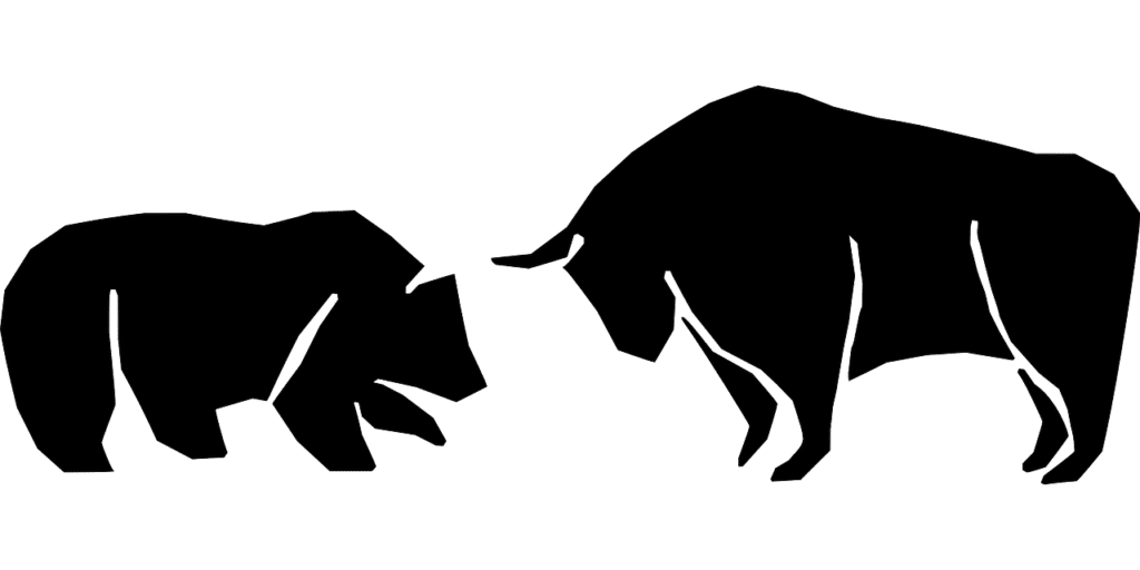 bull vs bear