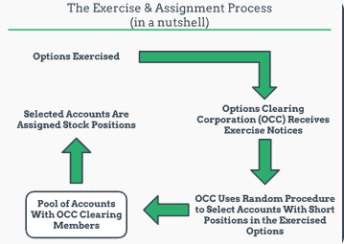 exercise assign options