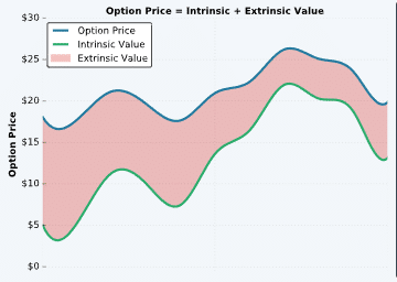 extrinsic intrinsic value