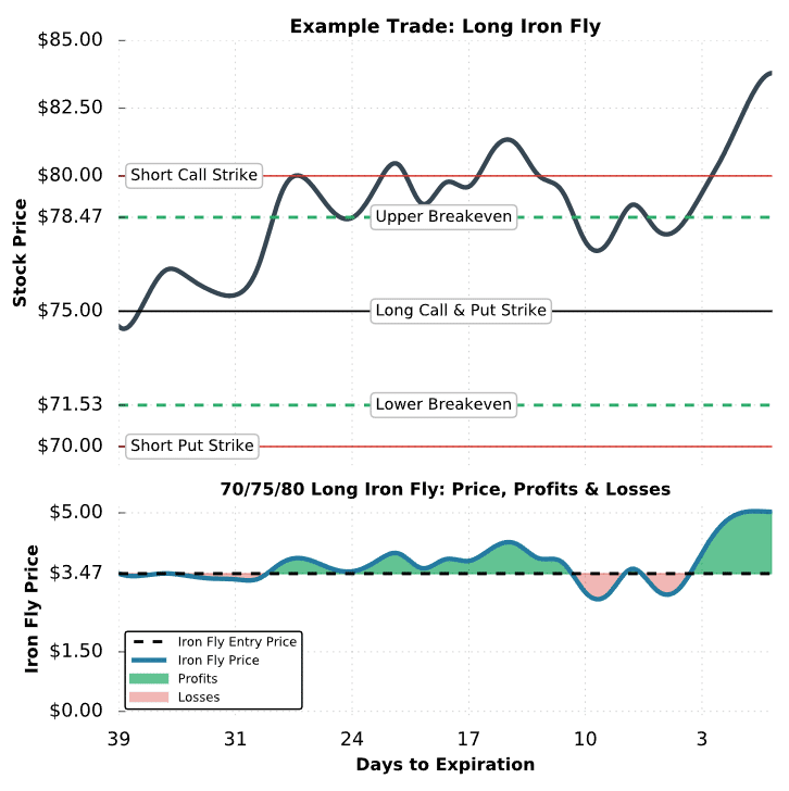 iron fly options example