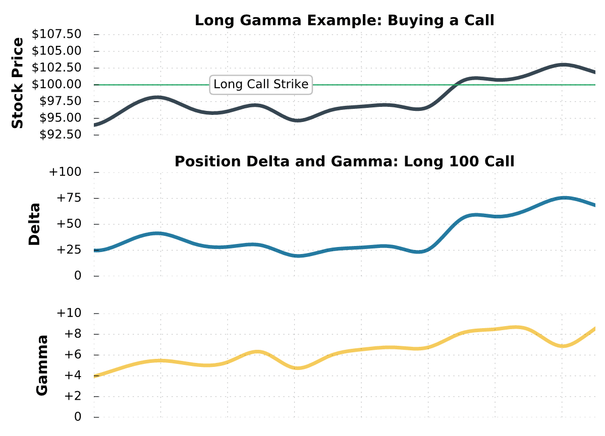 Long Gamma and Short Gamma Explained (Best Guide)