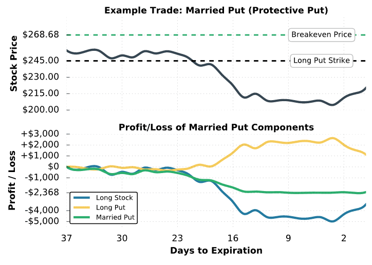 protective put #2 trade results