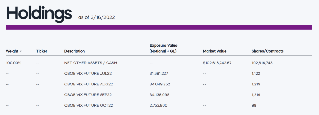 VIXM Holdings