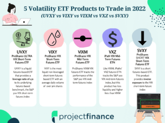 Volatility ETFs Infographic