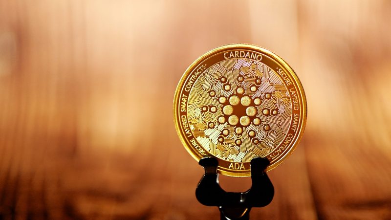 Cardano Coin